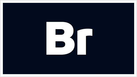 Adobe Bridge 2026 (v16.0.8.10.00) 中文版